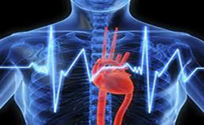 CARDIOLOGIA