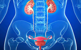 UROLOGIA